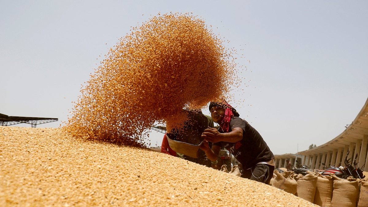 India’s wheat output may touch new record of 114 million tonnes in 2023-24