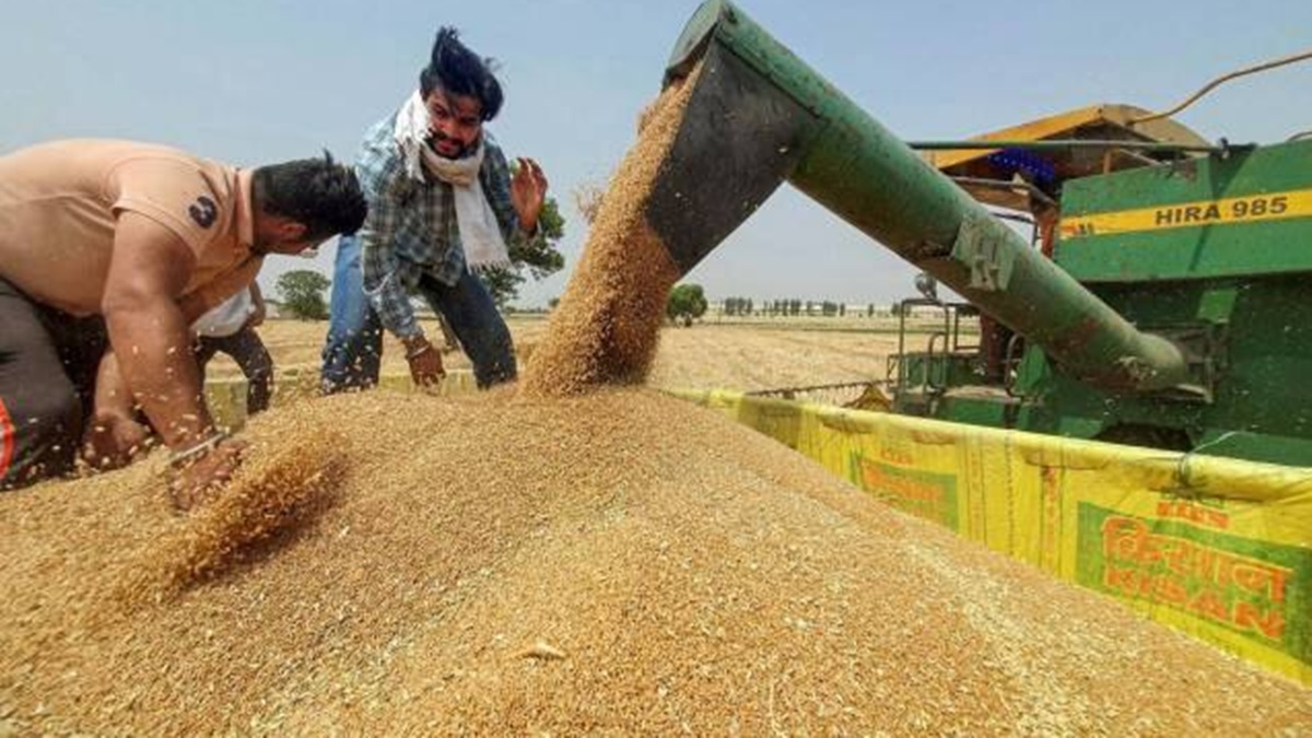 Govt hikes allocation of wheat under open market sale scheme