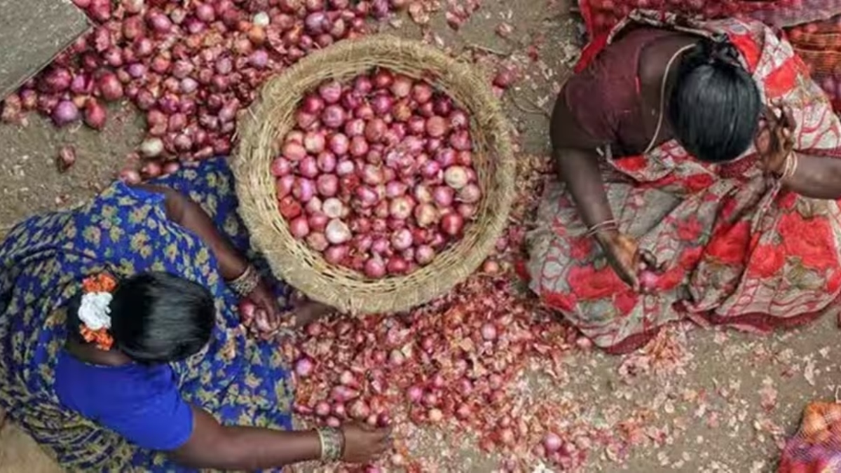 Besides Delhi-NCR, NCCF to sell onion at subsidised rate of Rs 25/kg in other states too